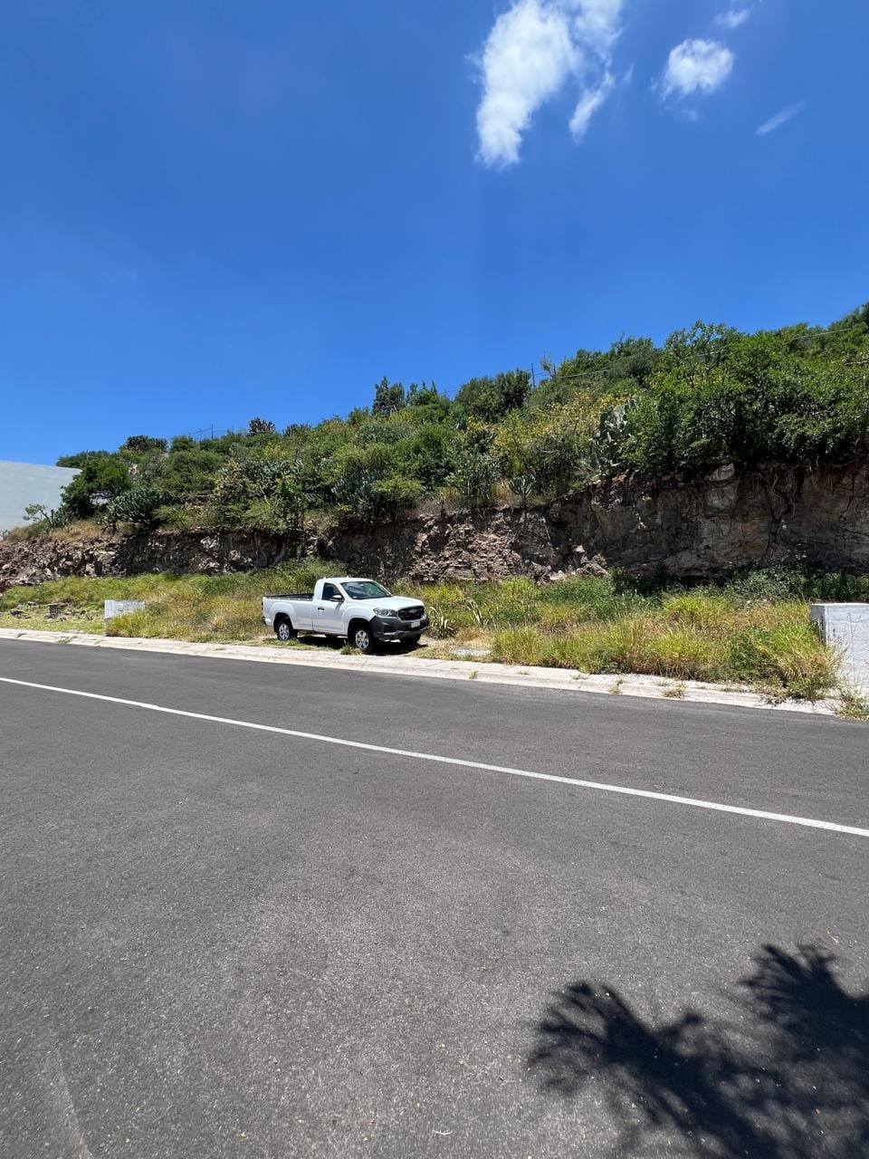 Detalle del talud de roca y la vegetación que cubre la parte alta del terreno