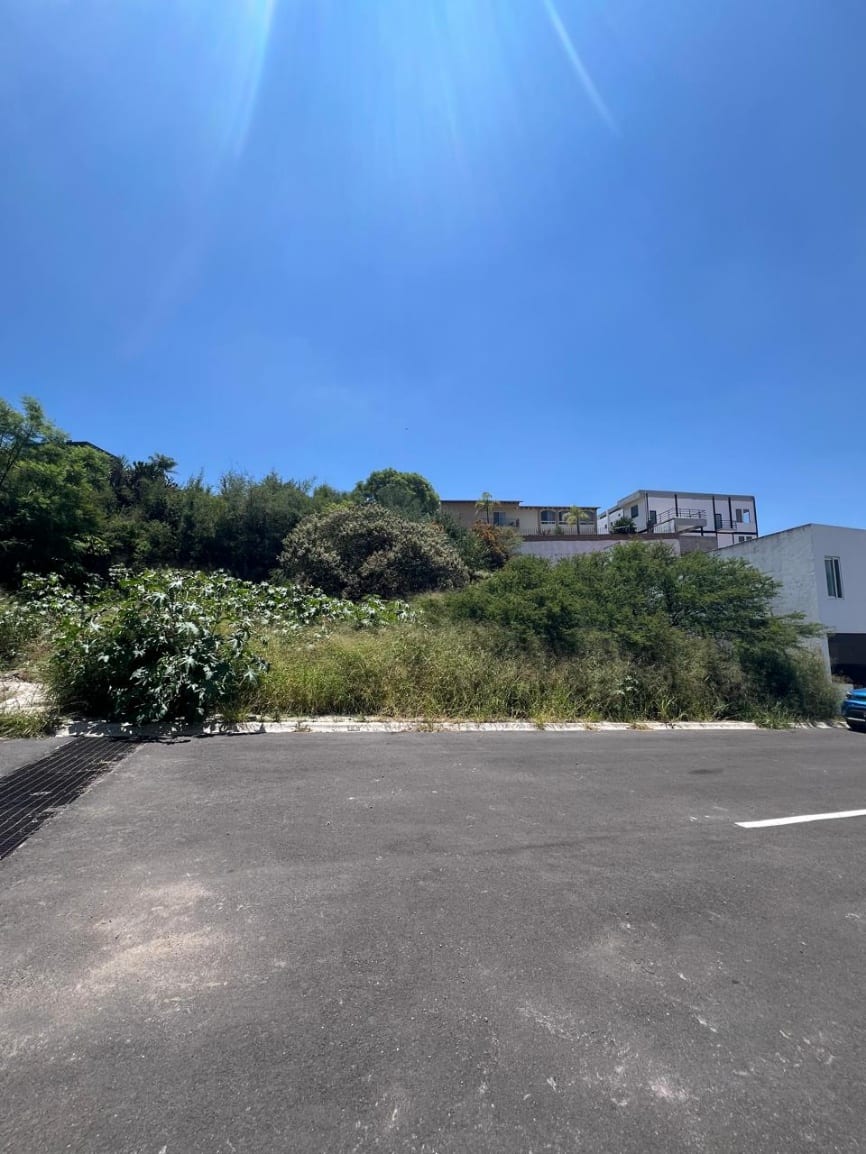 Frente del terreno desde la calle, con la superficie en pendiente cubierta de vegetación y casas construidas en la parte alta